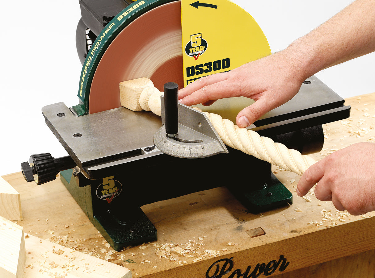 Record Power DS300 ā Levigatrice a disco professionale