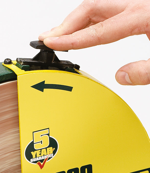 Record Power DS300 ā Levigatrice a disco professionale