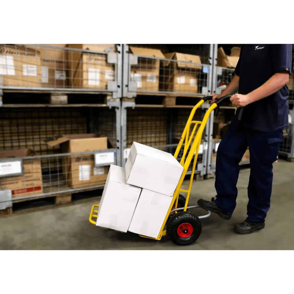 Carrello portapacchi Ravendo CLM 250 LS ERGO