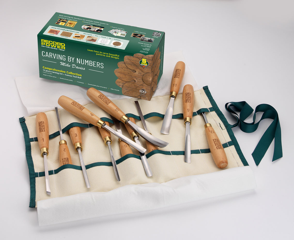 Set completo da intaglio Carving by Numbers con 12 utensili in acciaio cromo-vanadio, ideale per creare decorazioni, sculture e oggetti artistici in legno.
