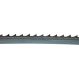 Lama per sega a nastro 3670mm - 19 x 0,8mm 2TPi